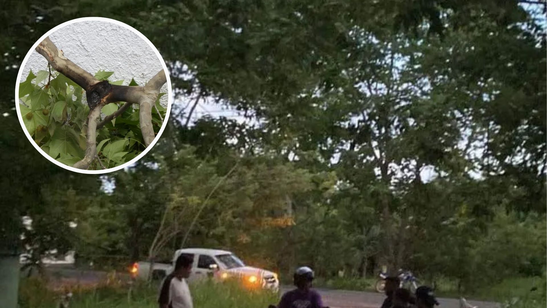 Agricultor muere electrocutado tras tocar un cable de alta tensión en Comayagua
