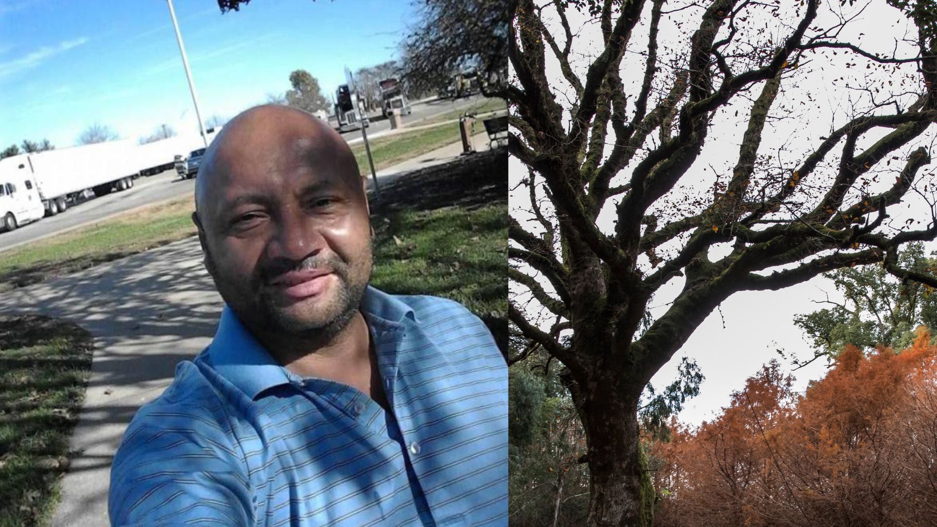 Hondureño muere tras caer de un árbol mientras trabajaba en Estados Unidos