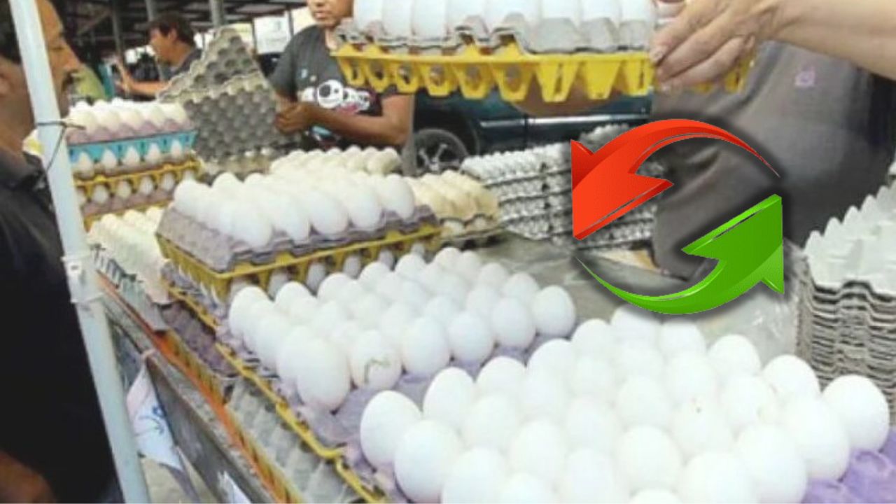 Cartón de huevos sufre aumento de precio en SPS, pero se mantiene en la capital