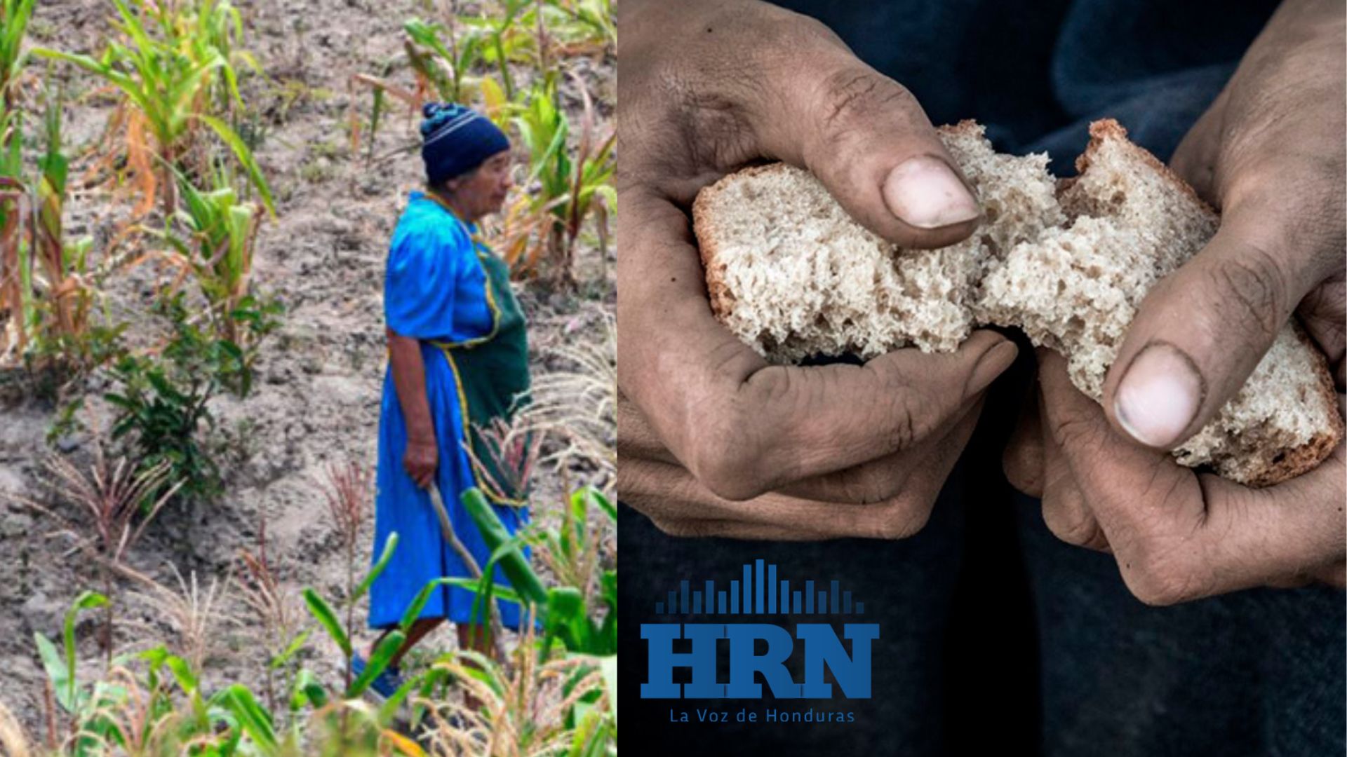 Editorial HRN: Producción, inseguridad alimentaria y pobreza