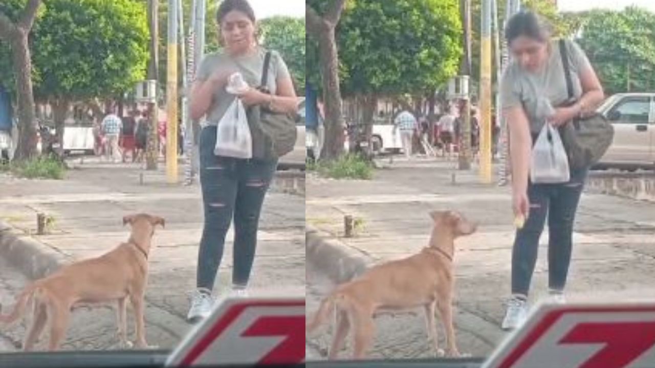 'Dios bendecirá tu vida y la prolongará': las reacciones por joven que comparte alimento con perro callejero