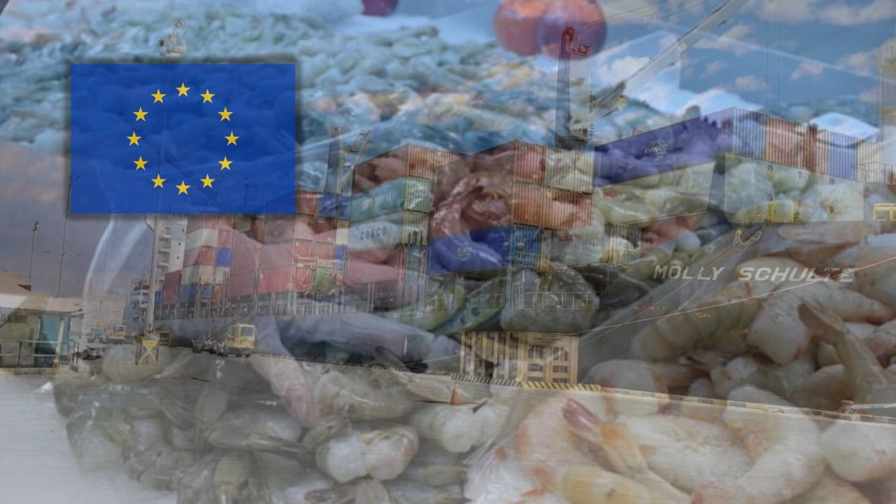 Unión Europea, el mayor mercado para el camarón de Choluteca y Valle