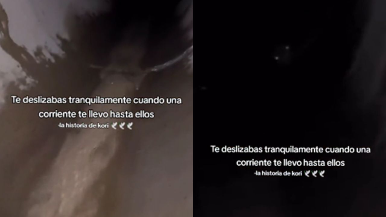 Video completo de Kori en la alcantarilla, ¿el clip viral es real?