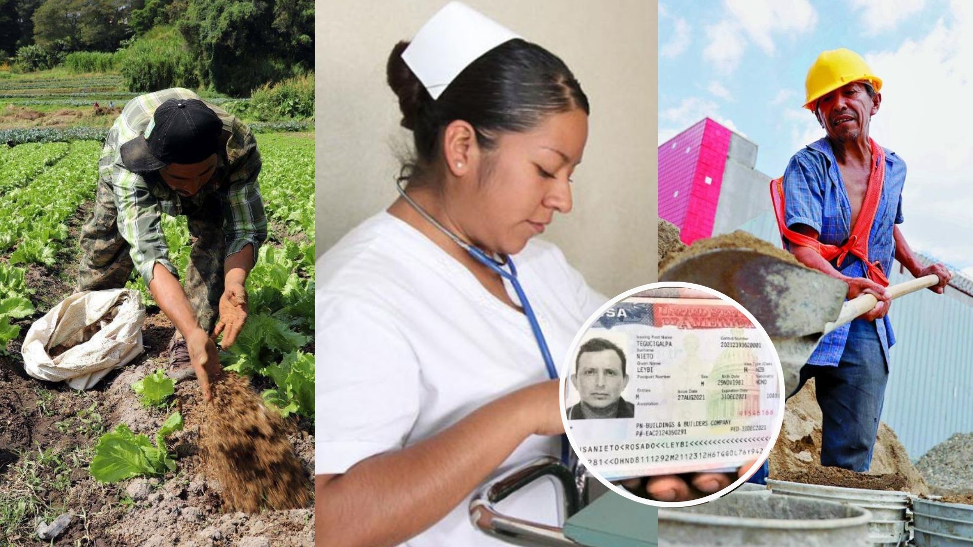 Perfiles que busca Estados Unidos para dar visas de trabajo