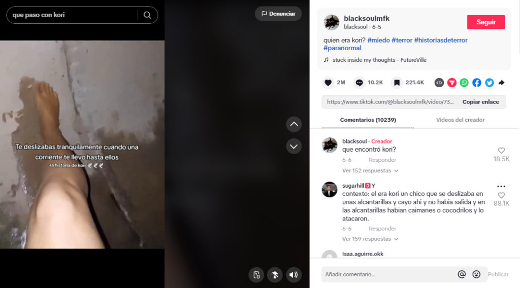 Captura de pantalla en la que se ve el tiktok de la historia de Kori