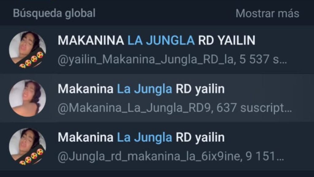 Captura de pantalla en la que se leen supuestos en Telegram