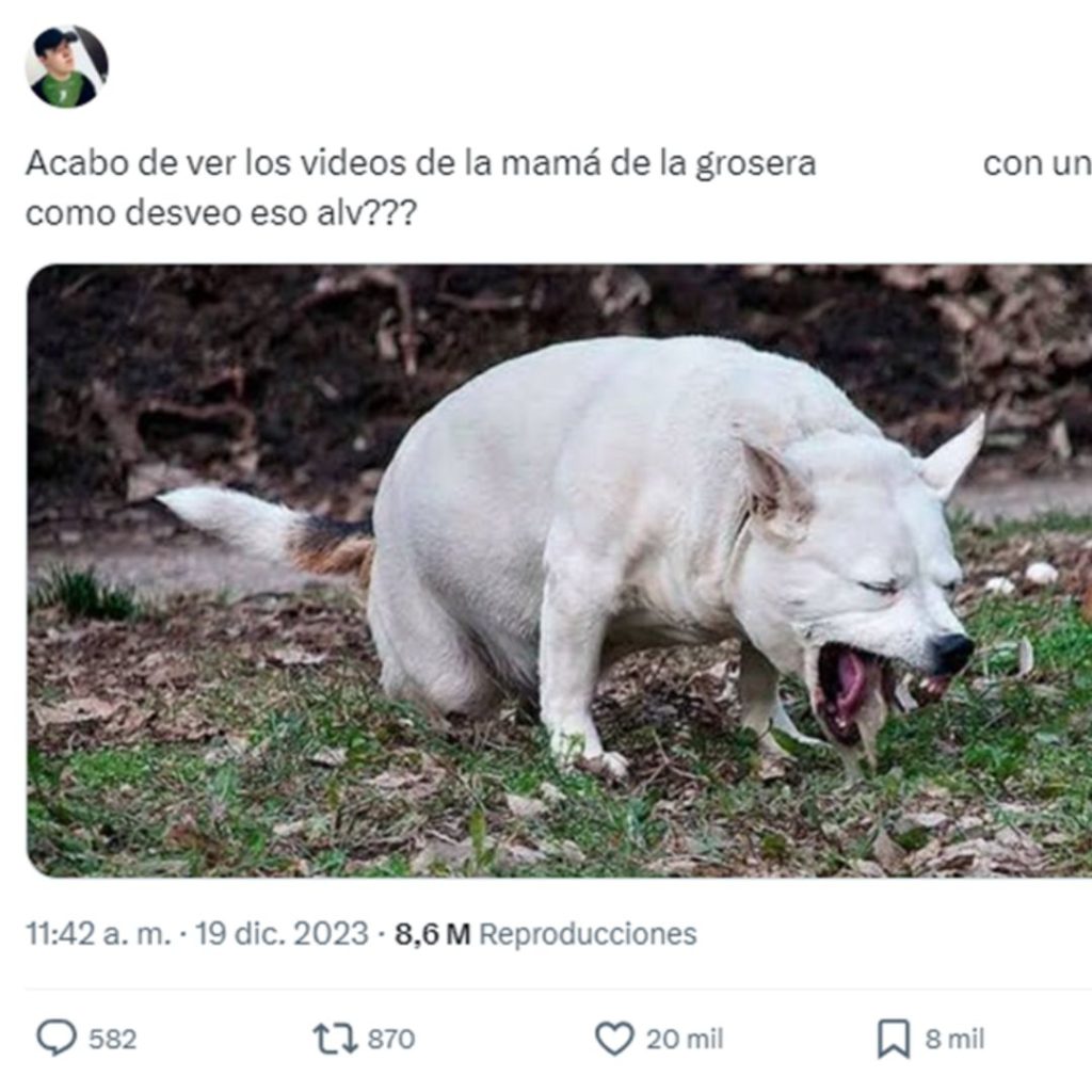 Captura de pantalla en la que se lee la reacción de un usuario al ver el video