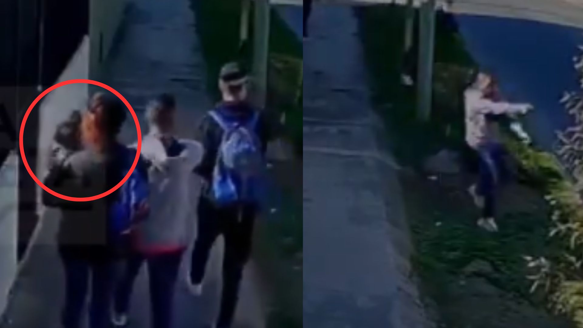 Madre usa a su bebé para ejecutar robo de un vehículo