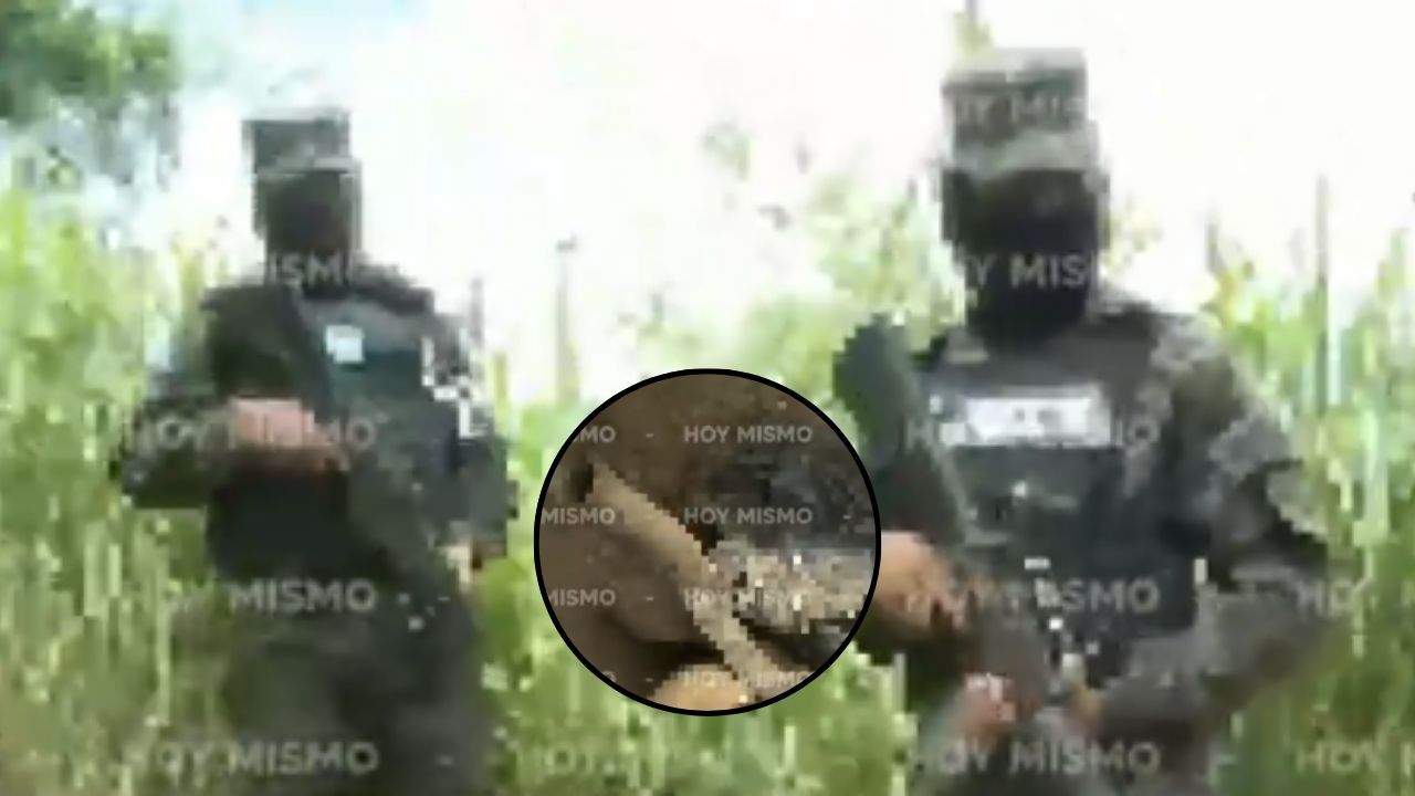 Descubren unas 15 osamentas en cementerio clandestino en San Pedro Sula
