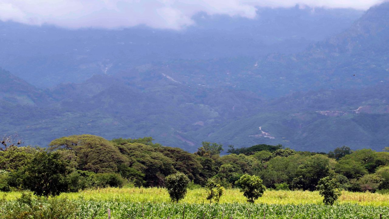 Honduras contará con un nuevo Censo Agropecuario con apoyo de la Unión Europea
