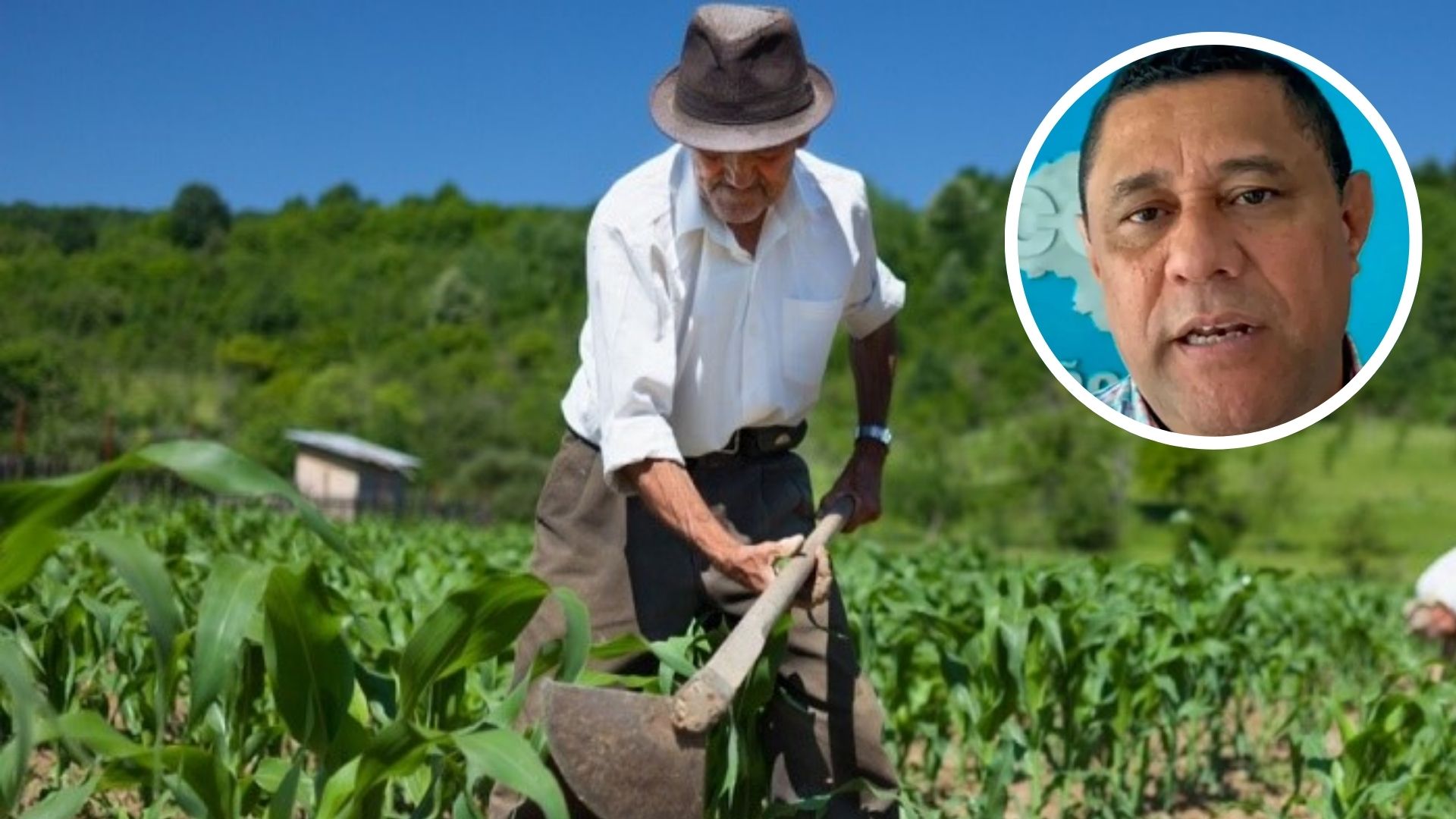 Crisis en el sector agropecuario de Honduras: financieramente estancado y sin mano de obra