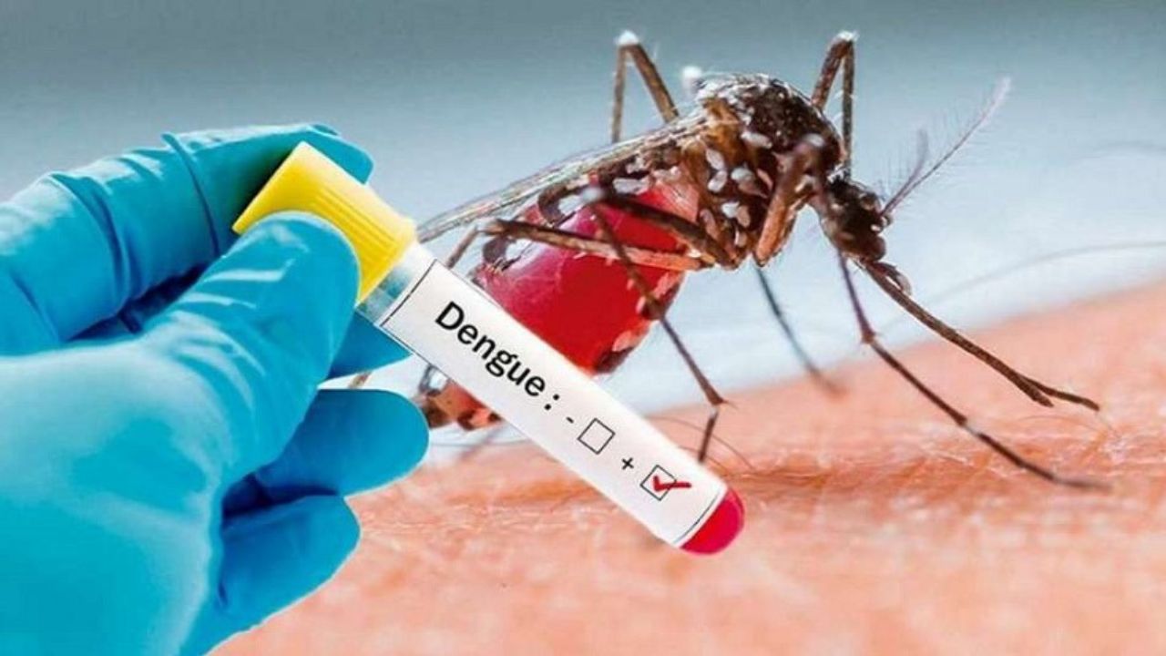 Casos de dengue en Honduras seguirán en alza, advierte epidemiólogo