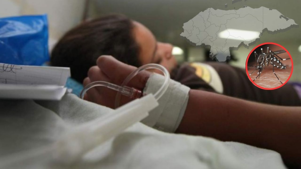 'Esto apenas comienza'; advierten sobre meses críticos por dengue en Honduras