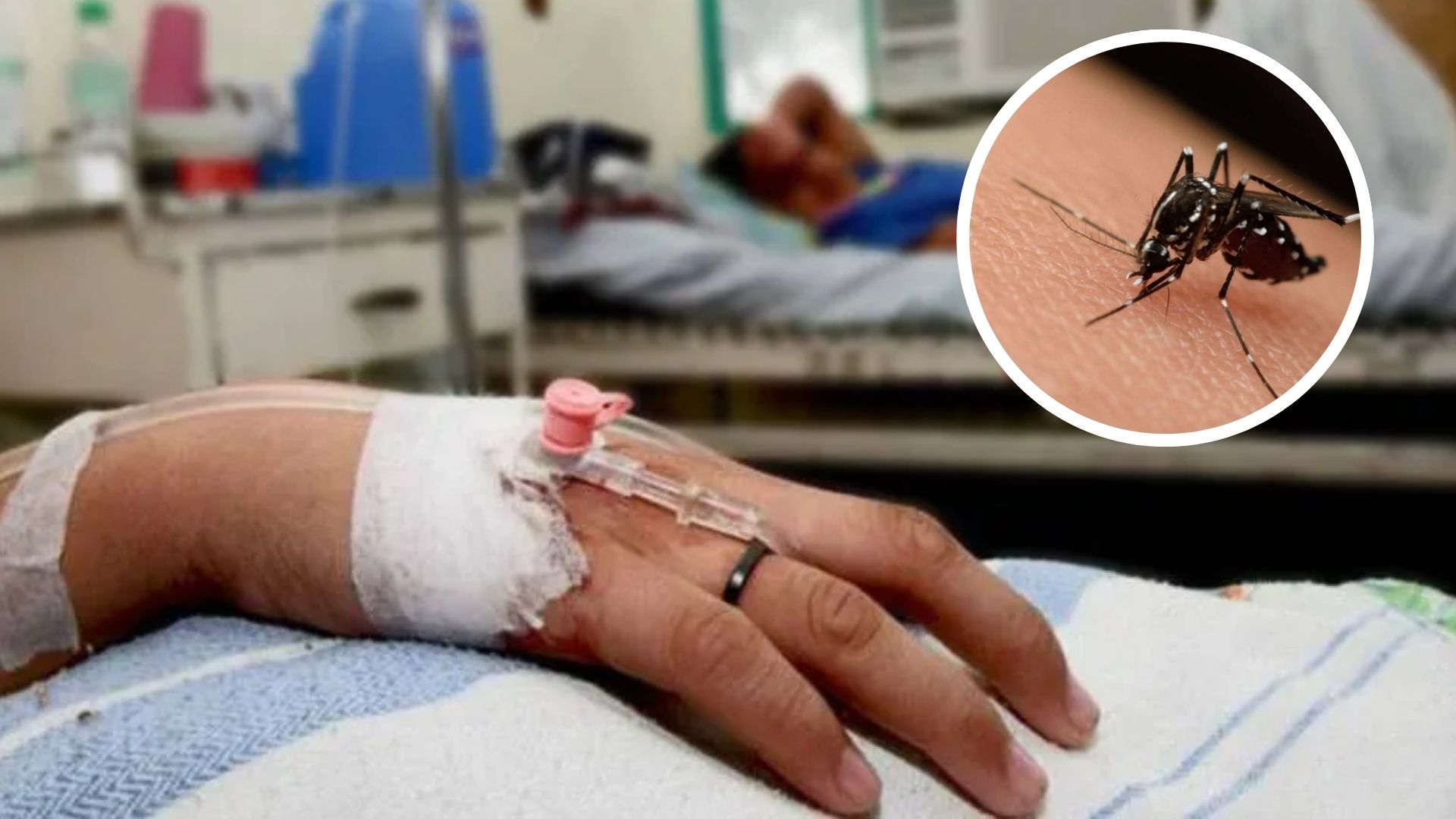 Sistema de salud en Honduras podría colapsar por casos de dengue, advierte Carlos Umaña