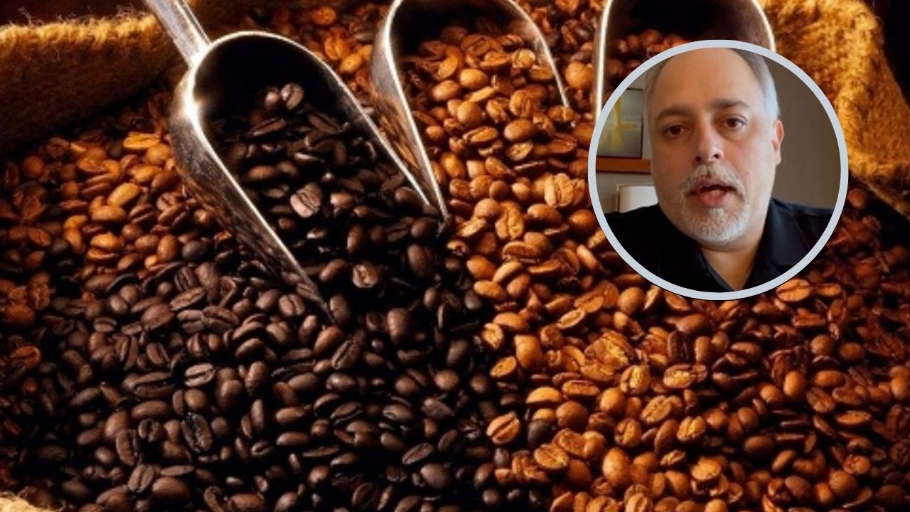 Honduras ha exportado en café 5.6 millones de quintales y al finalizar 2024 se espera cerrar con 6.1