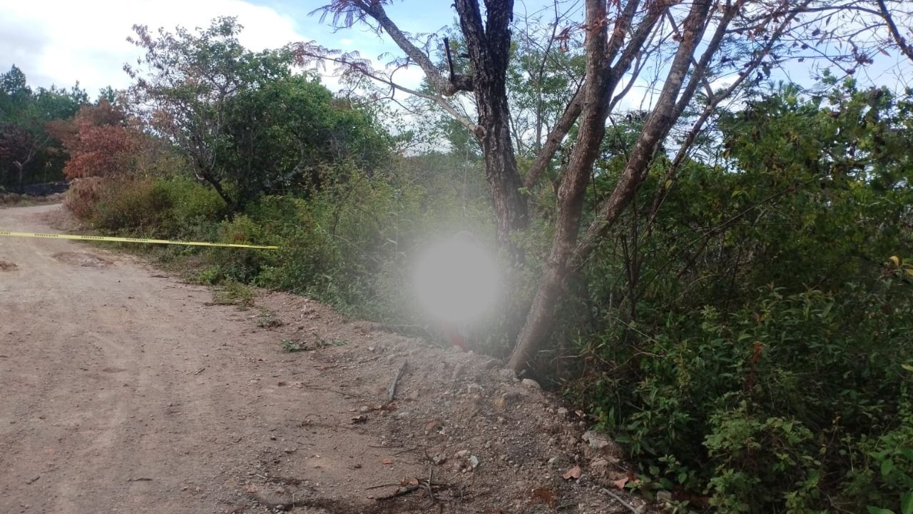 Hallan a hombre muerto colgando de un árbol a orilla de calle en Sabanagrande, FM