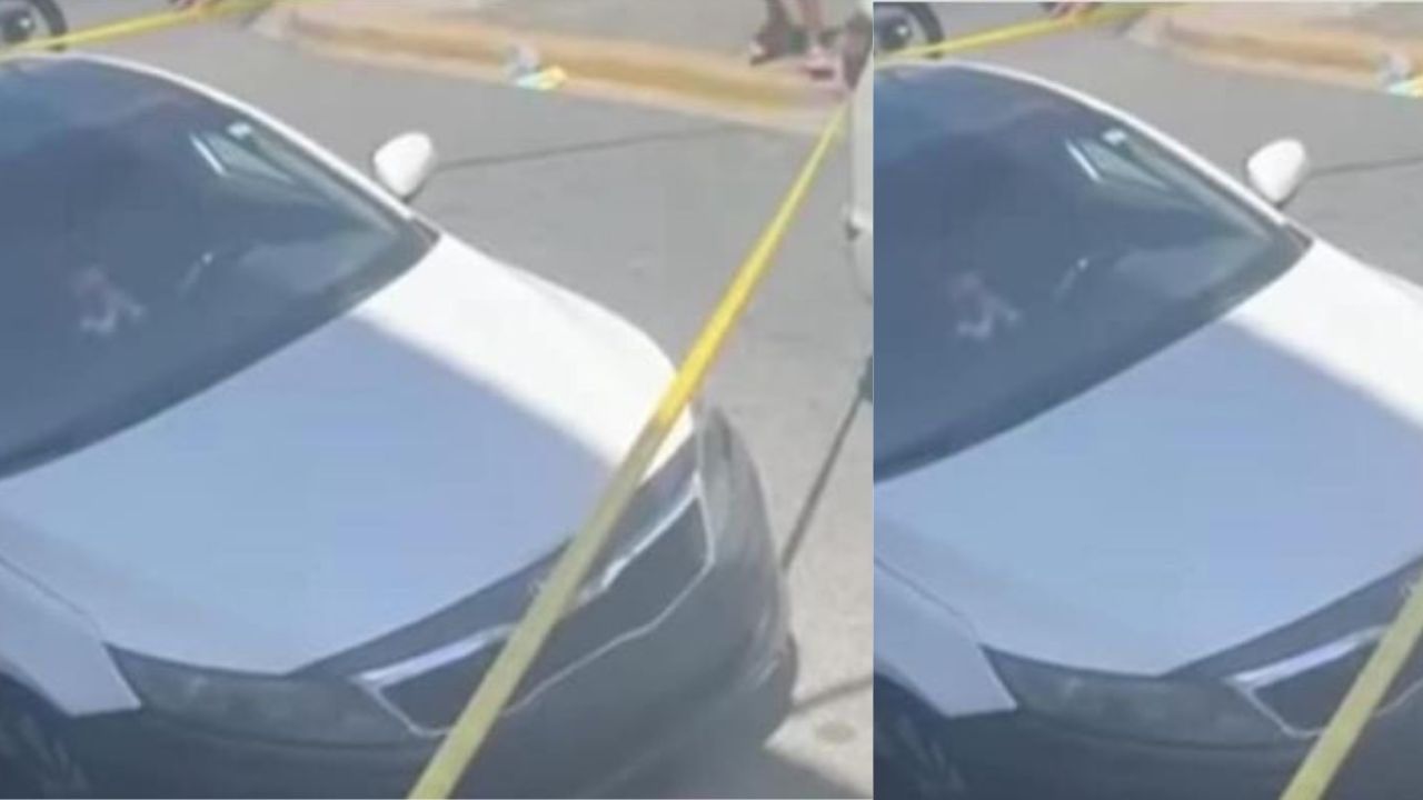 Hombre se quitó la vida tras que carro matara a su perro, compañero de 14 años