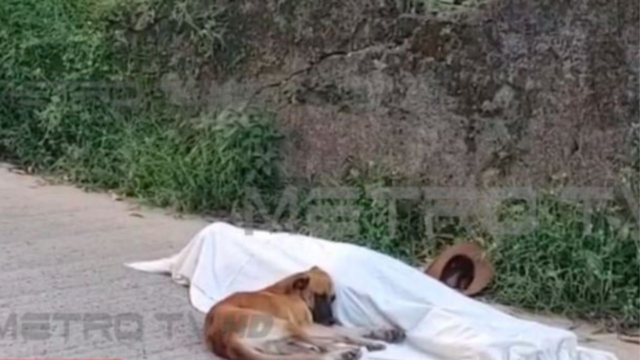 Perro permaneció junto al cadáver de su amo en Choluteca
