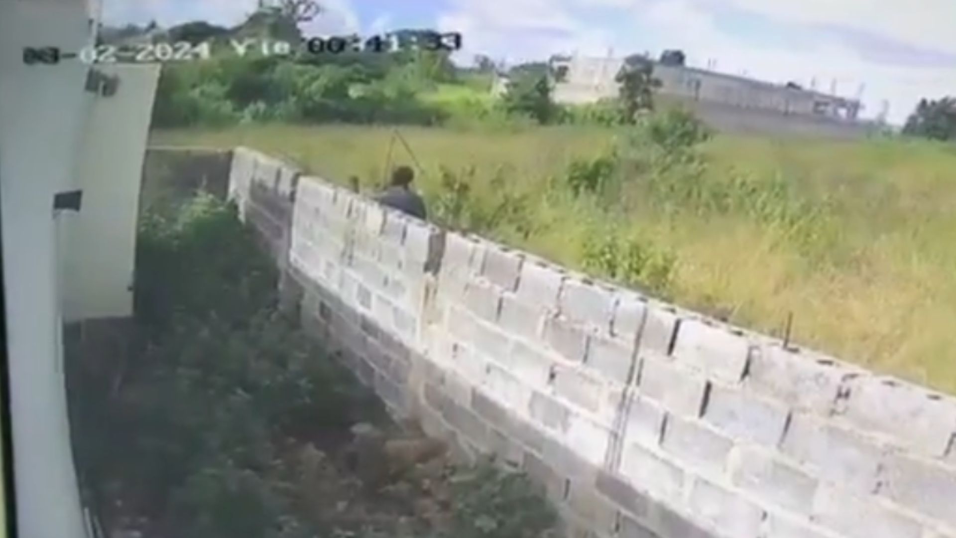 Hombre es devorado por tres perros pitbulls cuando entró a robar a una casa