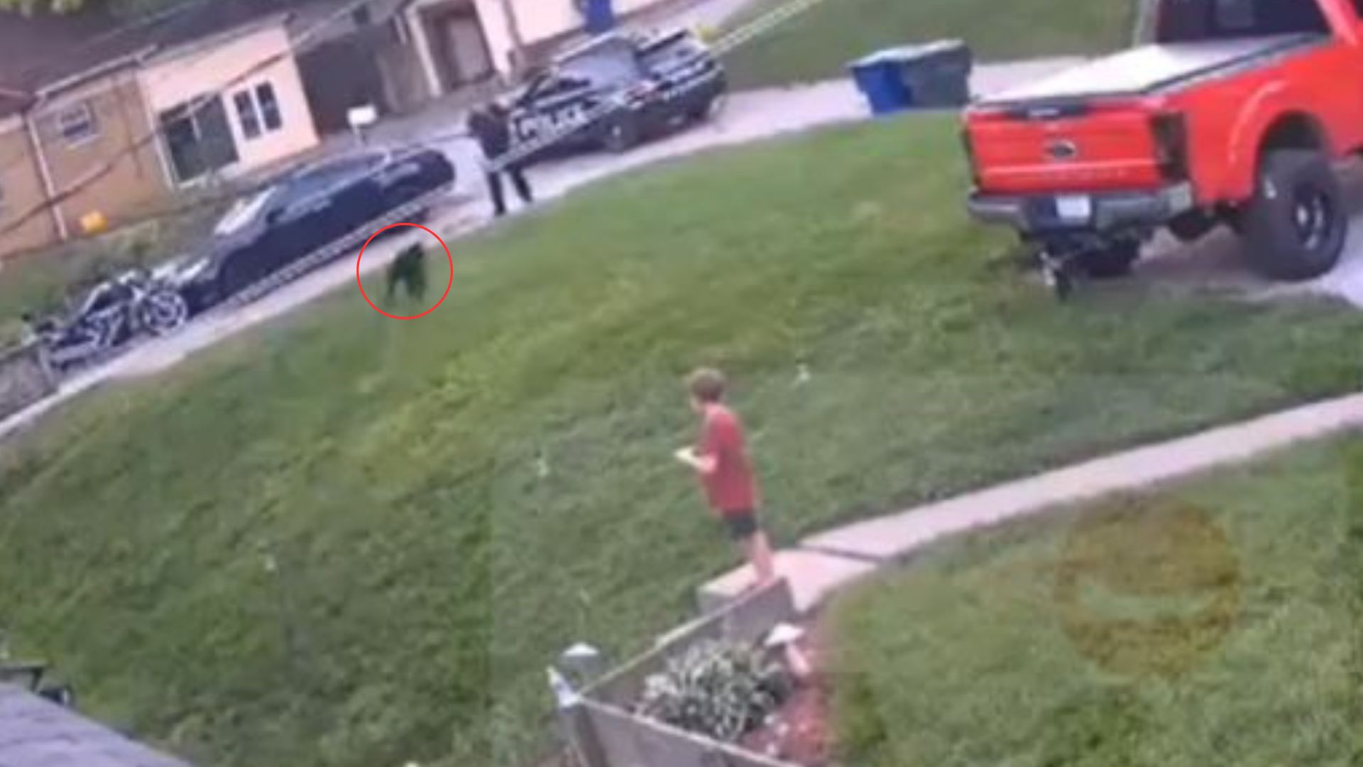 Indignación causa video de policía que mata a perro frente a dos niños por conducta agresiva