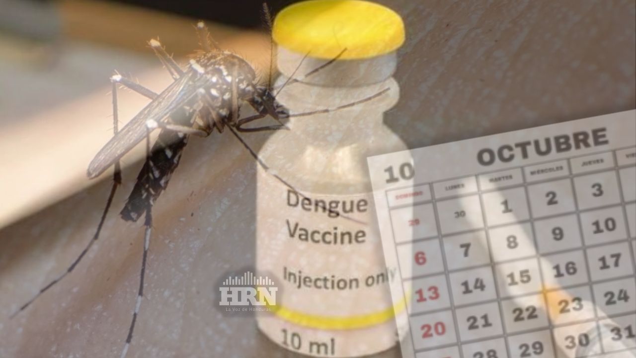Vacuna contra el dengue llegará a Honduras en octubre, anuncia la Sesal