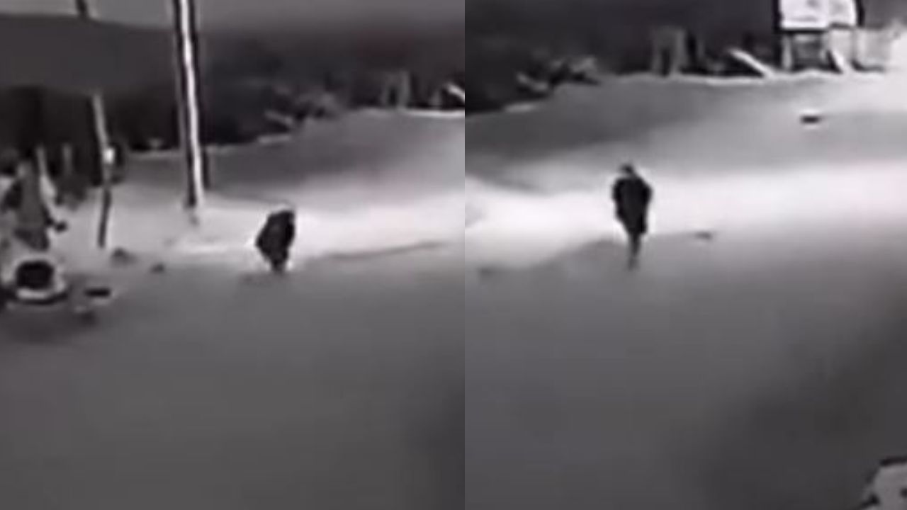 ¿Real?, captan a perro convertirse en humano en Chile