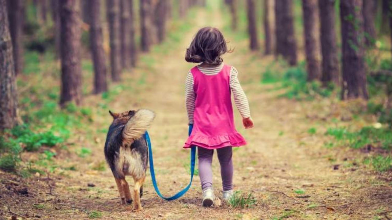 Video de la niña y el perro escondido en una esquina Telegram, ¿de qué trata?