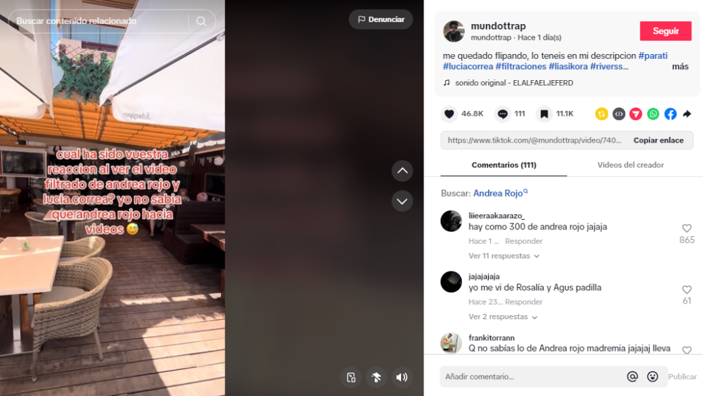Captura de pantalla en la que se lee un tiktok hablando del video de Lucía Correa y Andrea Roja