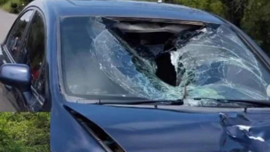 Imagen de cuerpo de nota