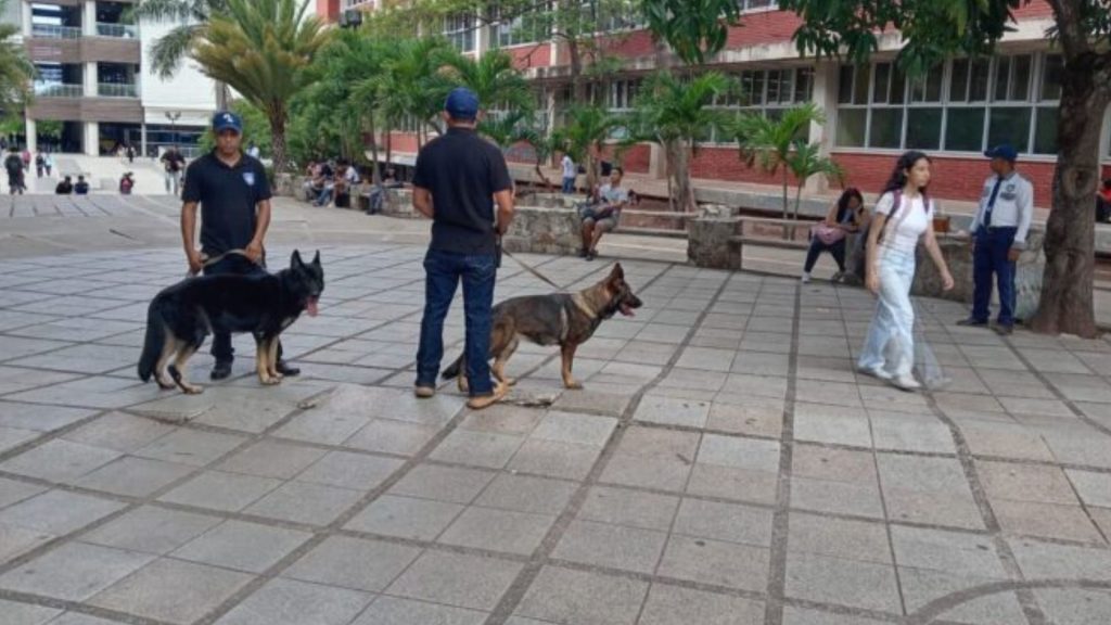 Imagen de cuerpo de nota