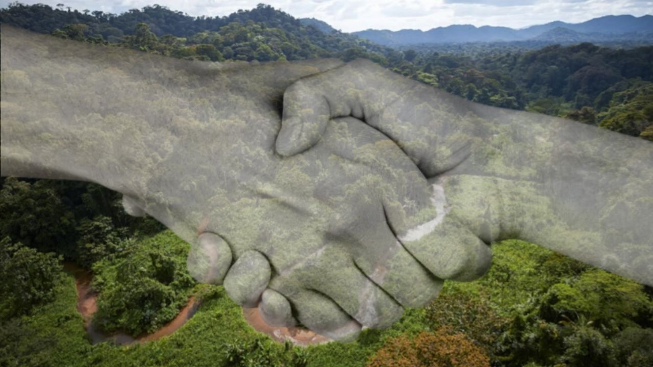 Gobierno y ganaderos de Olancho llegan a acuerdo para el 'Plan Cero Deforestación'