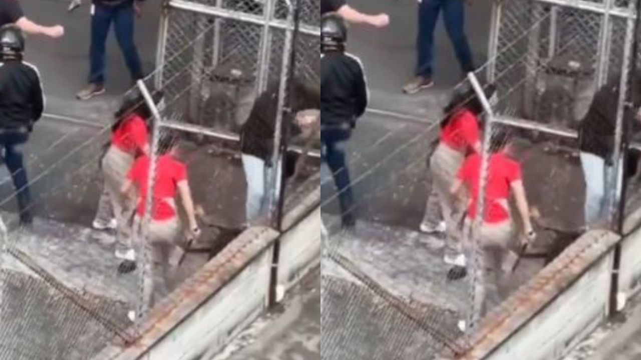 Por robarse un pan, hombre fue golpeado por dueño y empleados de panadería: video