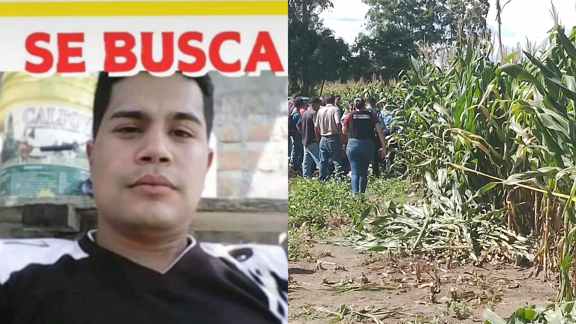 Hallan muerto a taxista que fue reportado como desaparecido en Talanga