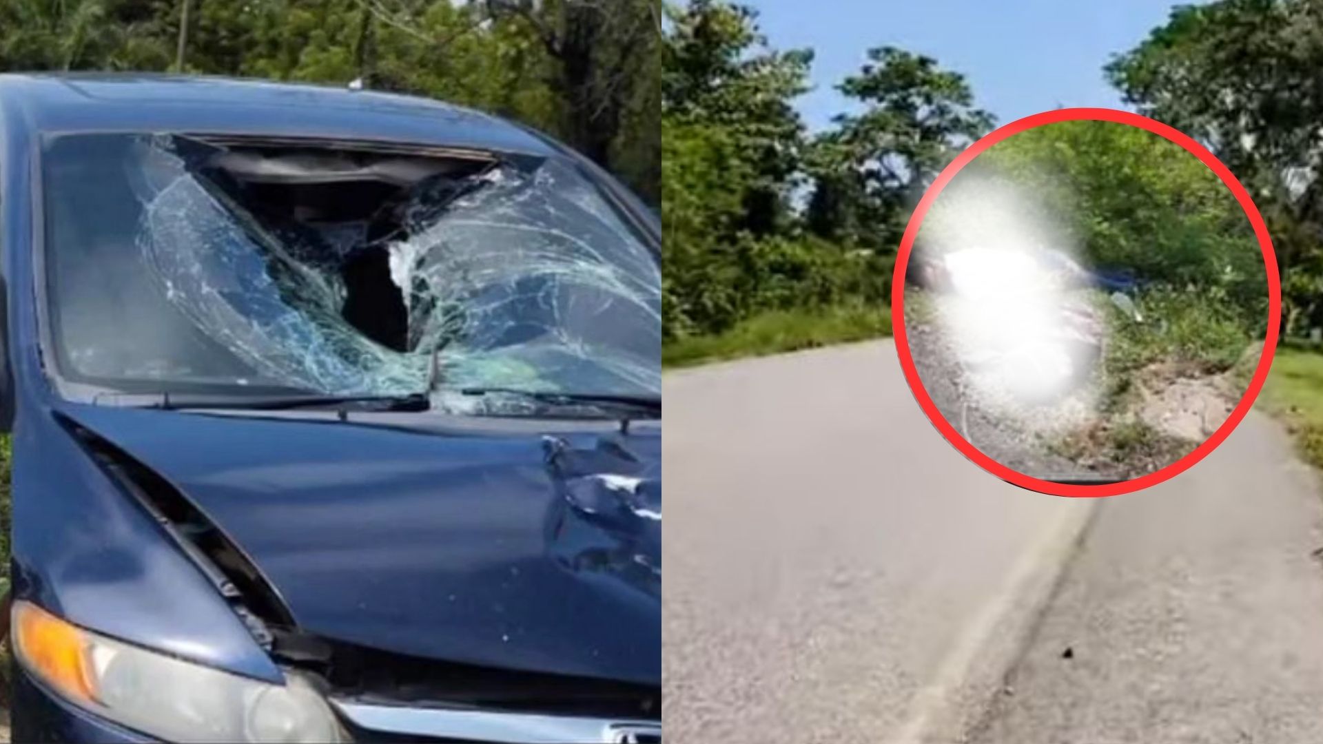 Menor muere arrollada por un carro cuando se bajaba de un bus en Olanchito