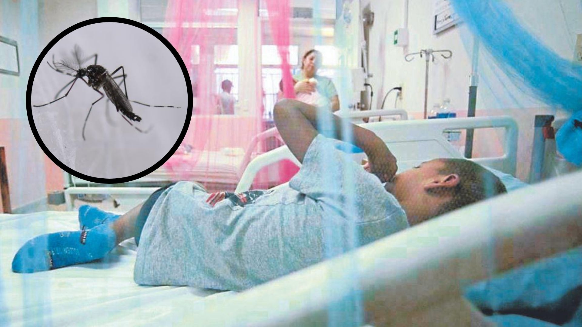 Al menos 100 menores han muerto por dengue en lo que va de 2024