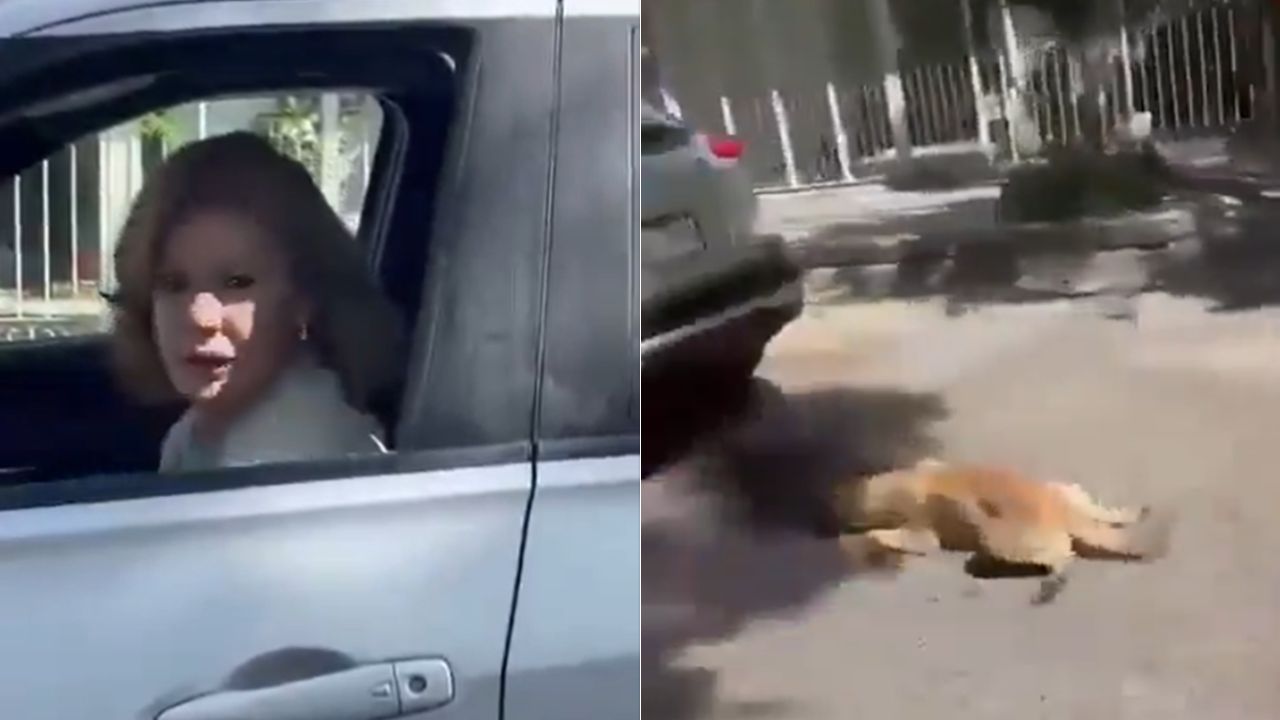 Captan a mujer arrastrando a un perro con su vehículo porque 'se lo dañó'