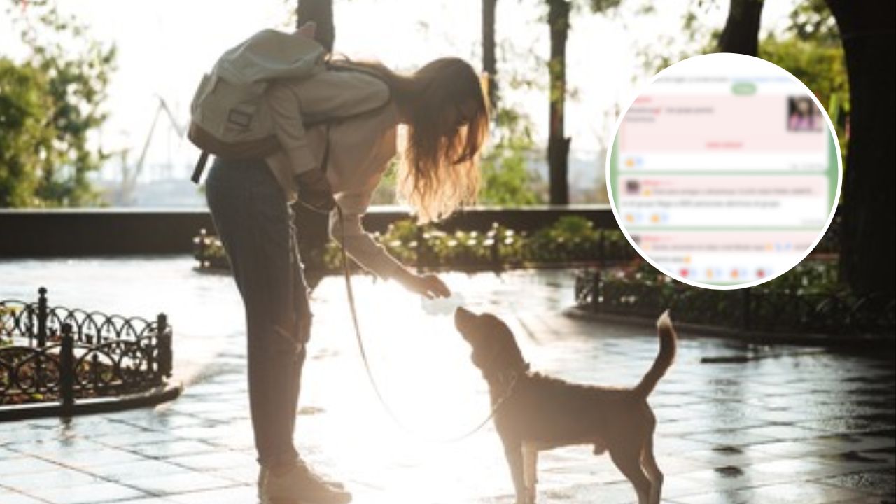 Poliwam video Telegram, ¿dónde ver el contenido del perro?