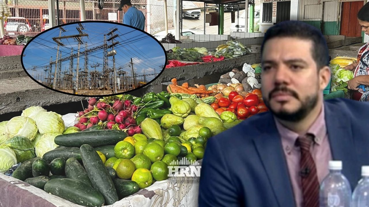 Rebaja a energía eléctrica no garantiza que baje precio de productos básicos: economista