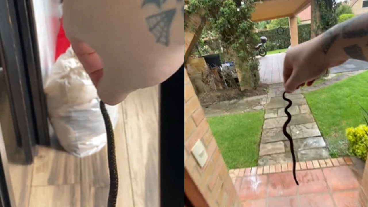 'Sacala Martín' video original, ¿de qué trata?