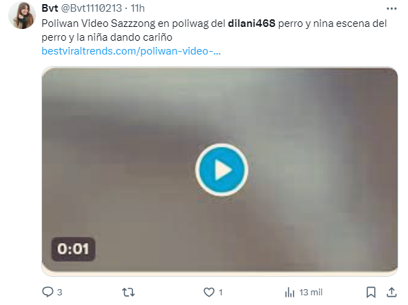 Captura de pantalla en la que se lee un enlace aparentemente malicioso con el video del perro y la niña