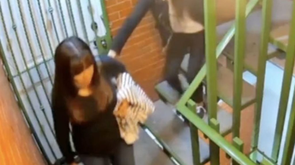 Imagen de cuerpo de nota