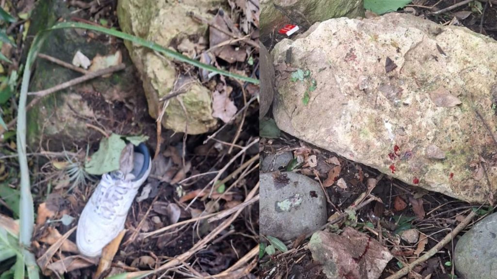 Imagen de cuerpo de nota