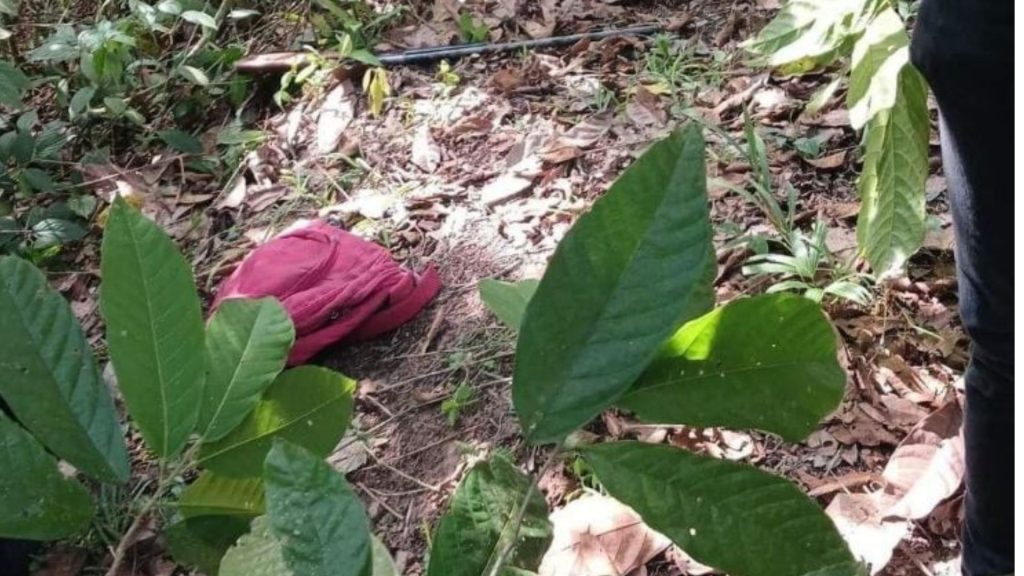 Imagen de cuerpo de nota