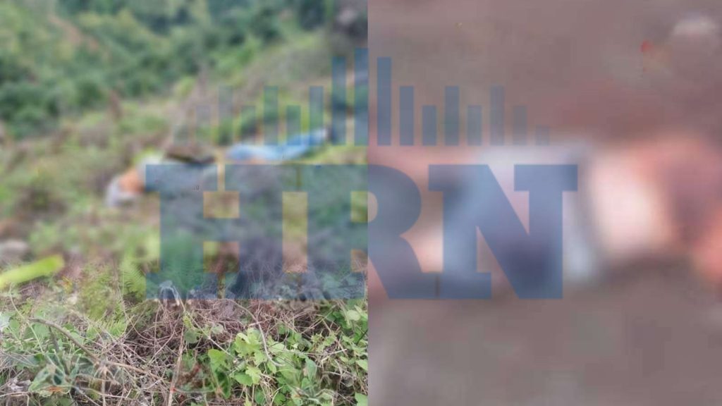 Imagen de cuerpo de nota