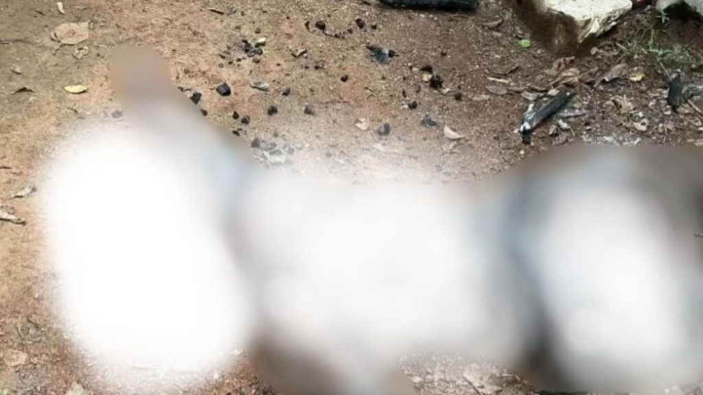 Imagen de cuerpo de nota