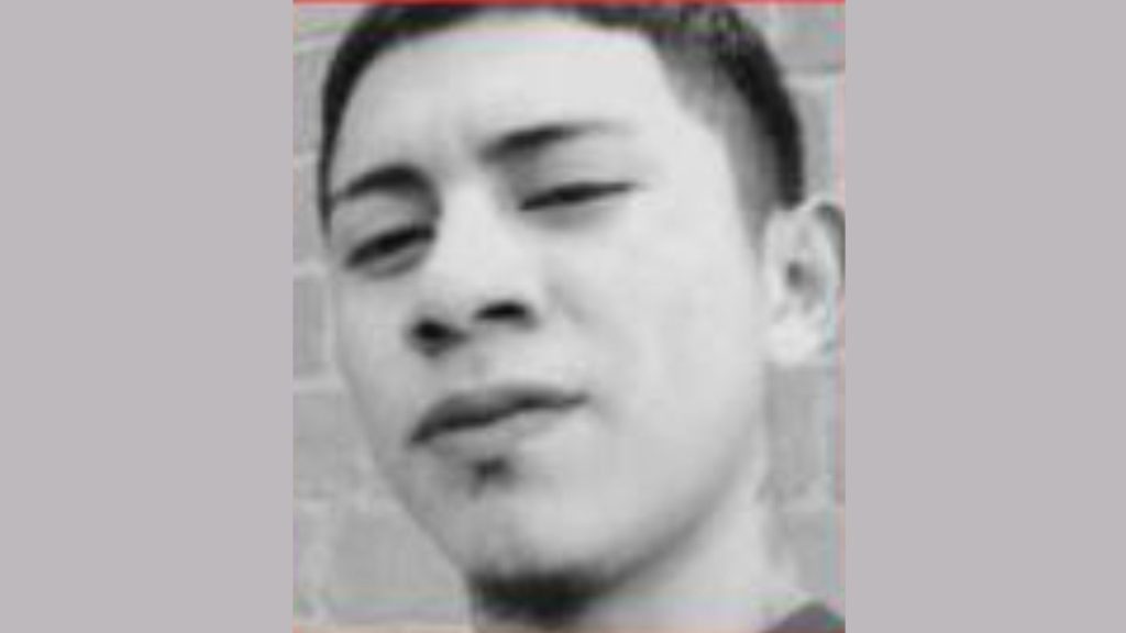 Imagen de cuerpo de nota