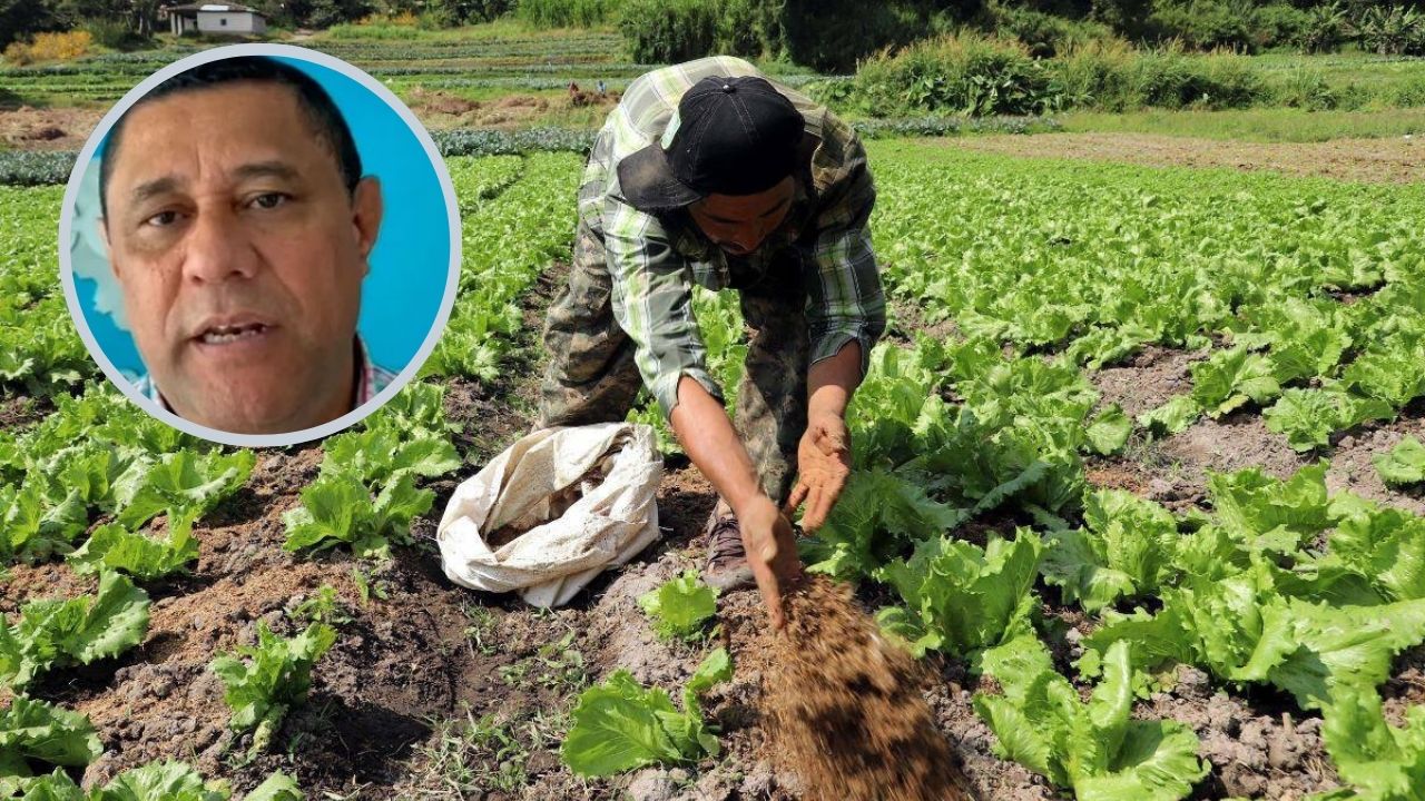 Imagen de Advierten sobre impacto del deslizamiento del lempira en productores hondureños y consumidores