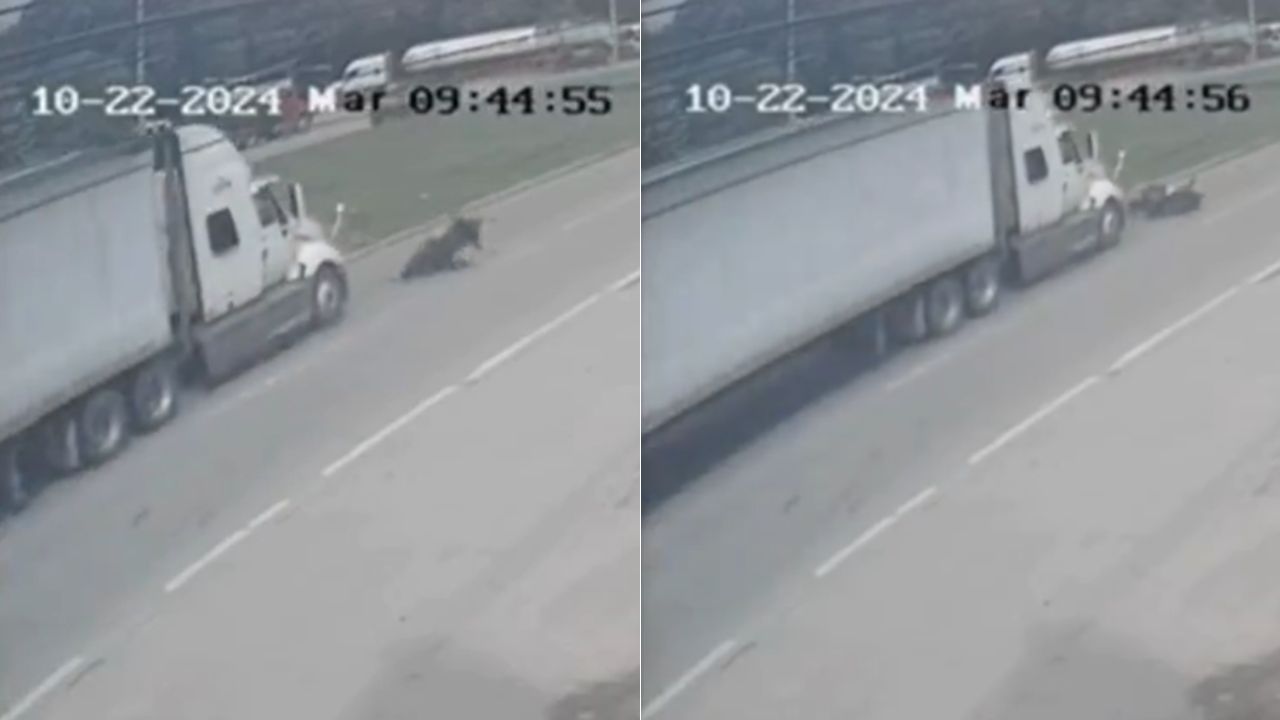 Revelan momento donde motociclista muere arrollado por rastra en SPS; perdió el control de su moto