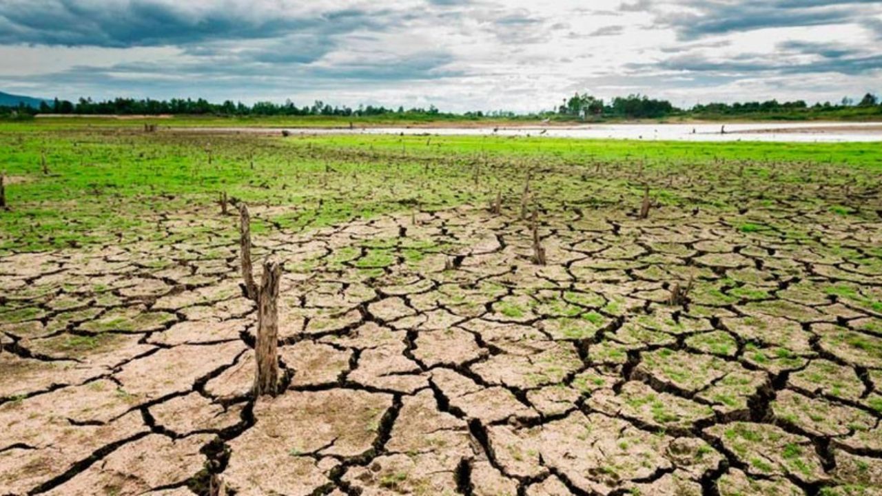 Inversión de casi 14 millones de dólares ha hecho Centroamérica en corredor seco y zonas áridas