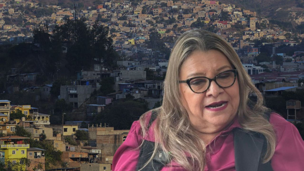 Deslizamiento del lempira aumentaría cifras de pobreza en Honduras: Amparo Canales